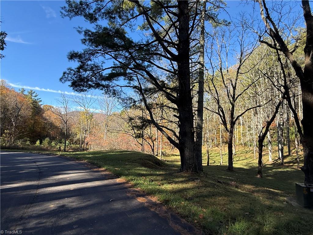 Tbd Tbd Jake Blackburn Road Lansing, NC 28643 - Photo 16 of 21