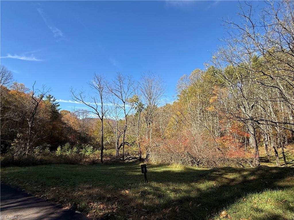 Tbd Tbd Jake Blackburn Road Lansing, NC 28643 - Photo 17 of 21