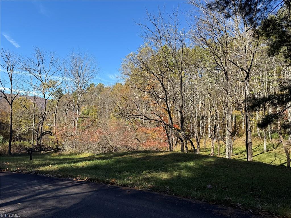 Tbd Tbd Jake Blackburn Road Lansing, NC 28643 - Photo 18 of 21