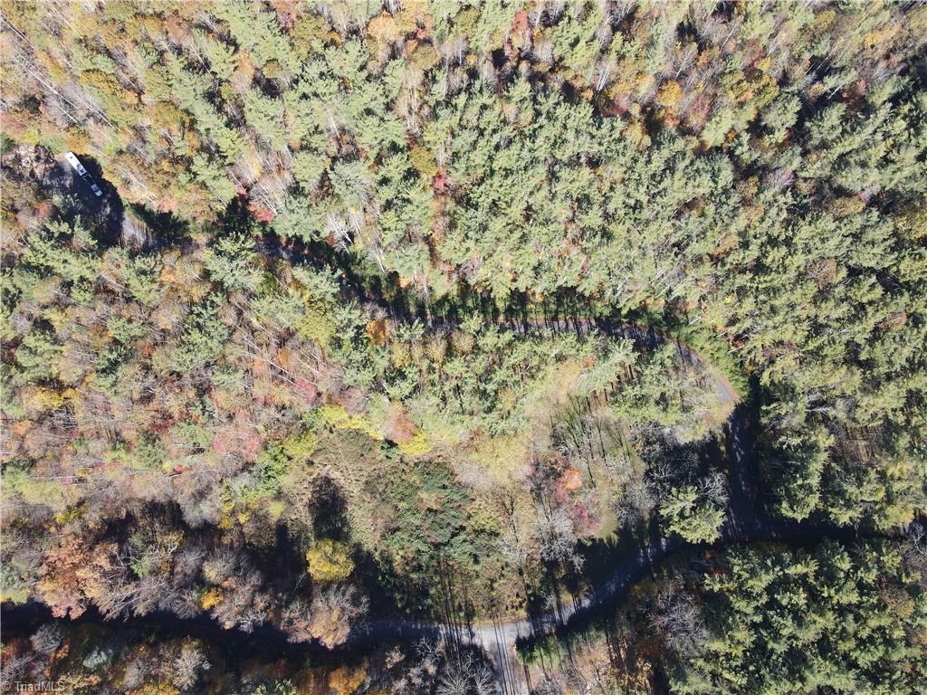 Tbd Tbd Jake Blackburn Road Lansing, NC 28643 - Photo 19 of 21