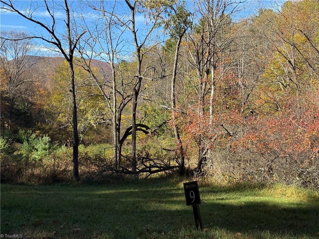 Tbd Tbd Jake Blackburn Road Lansing, NC 28643 - Photo 20 of 21