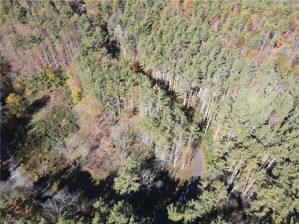 Tbd Tbd Jake Blackburn Road Lansing, NC 28643 - Photo 21 of 21