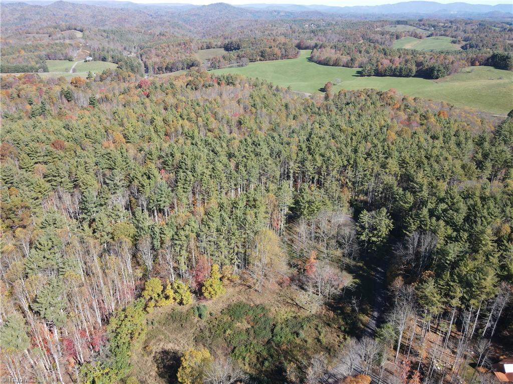 Tbd Tbd Jake Blackburn Road Lansing, NC 28643 - Photo 6 of 21