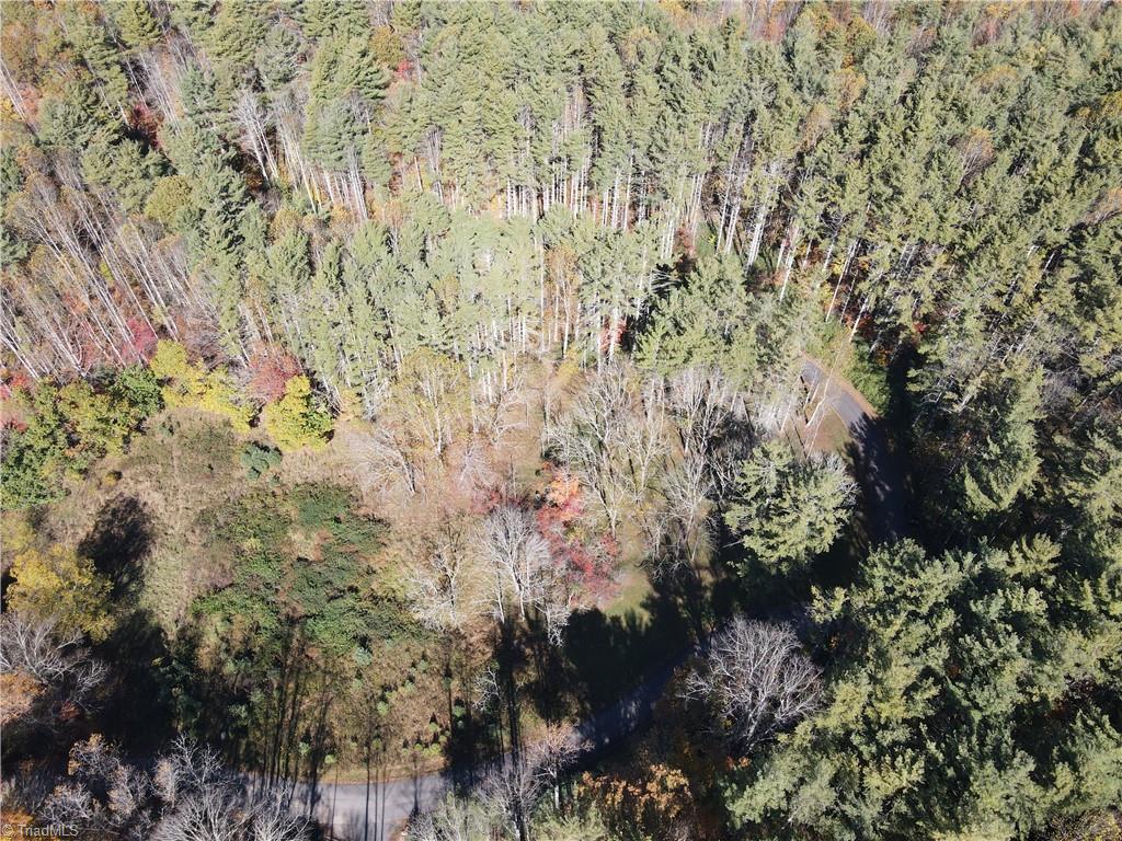 Tbd Tbd Jake Blackburn Road Lansing, NC 28643 - Photo 7 of 21