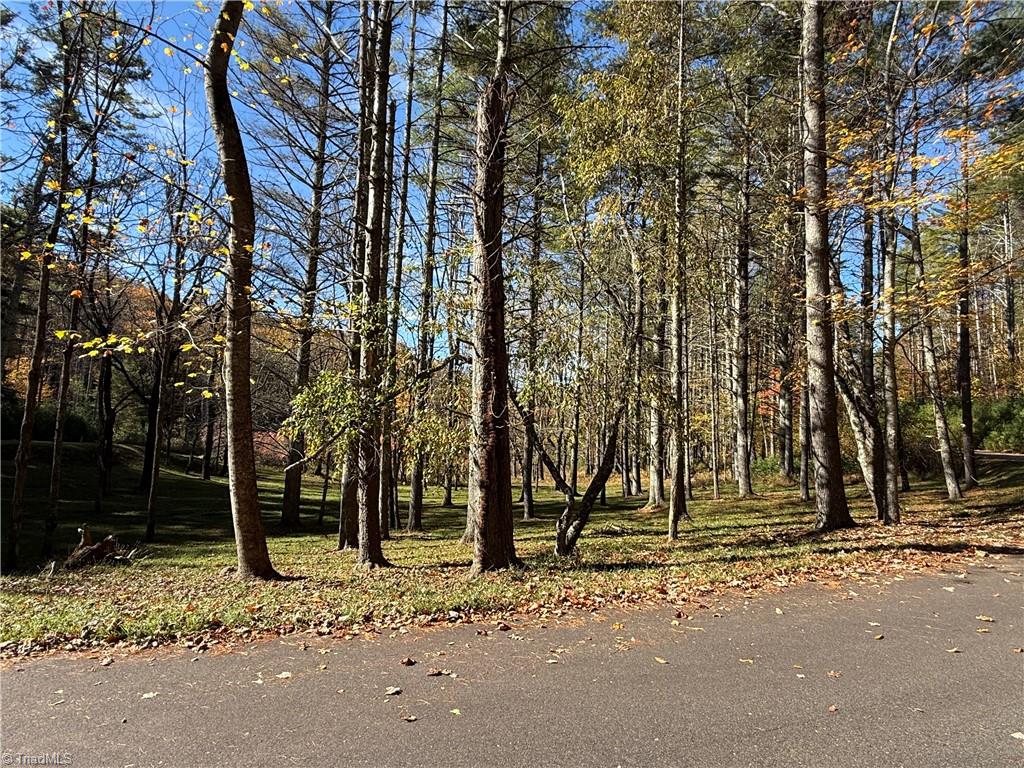 Tbd Tbd Jake Blackburn Road Lansing, NC 28643 - Photo 8 of 21