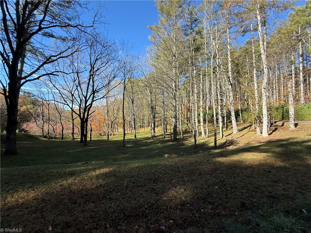 Tbd Tbd Jake Blackburn Road Lansing, NC 28643 - Photo 9 of 21