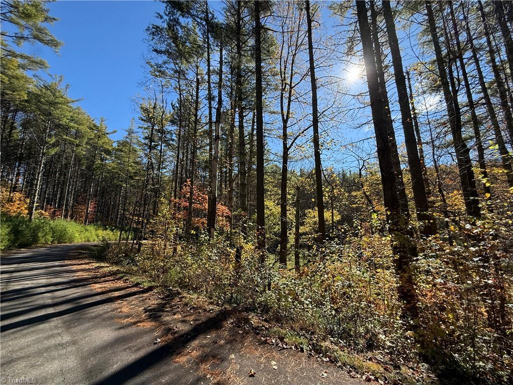 Tbd Tbd Jake Blackburn Road Lansing, NC 28643 - Photo 10 of 21