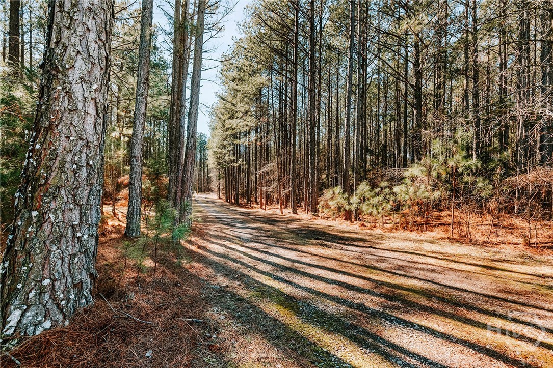 492 Aycock Road Lexington, GA 30648 - Photo 12 of 49