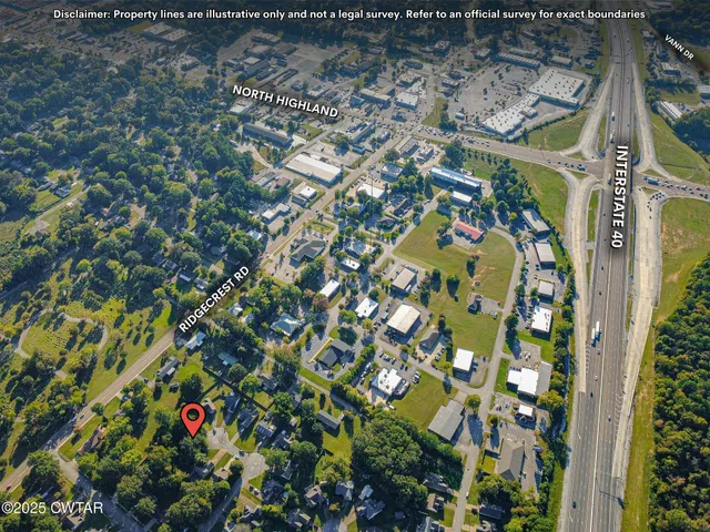 view of a bunch of flowers