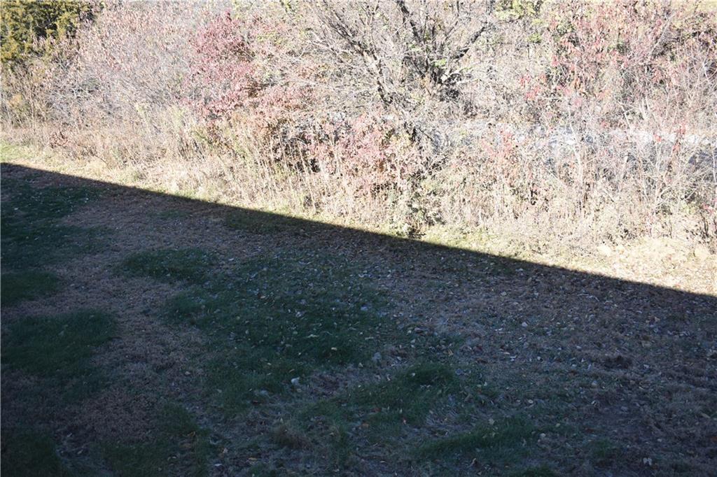 11789 Ridgeway Drive St. Joseph, MO 64505 - Photo 21 of 22