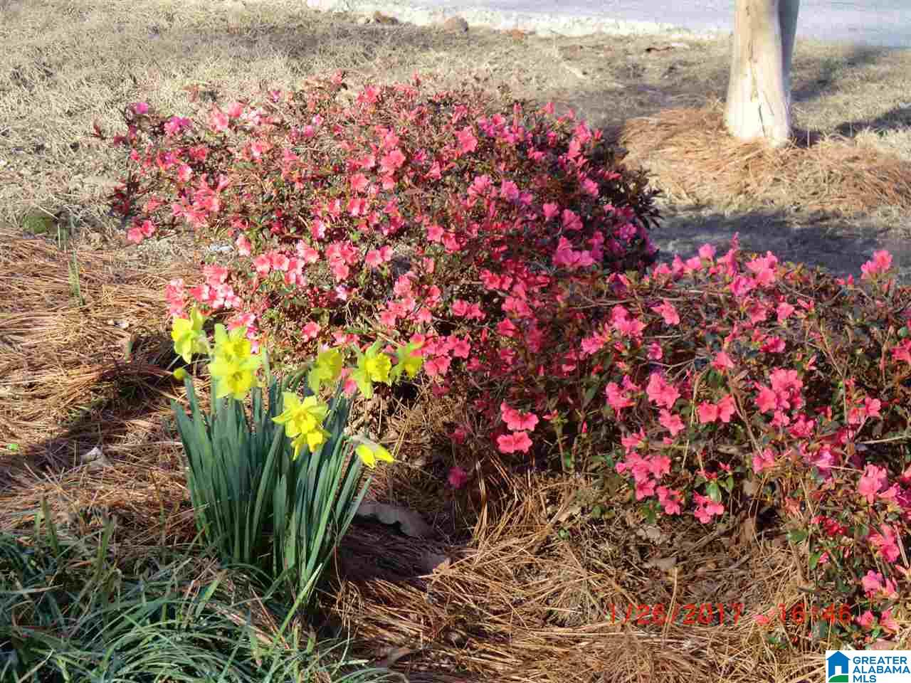 4658 Burning Tree Lane Pelham, AL 35124 - Photo 2 of 30