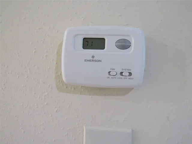 a view of backyard with tree