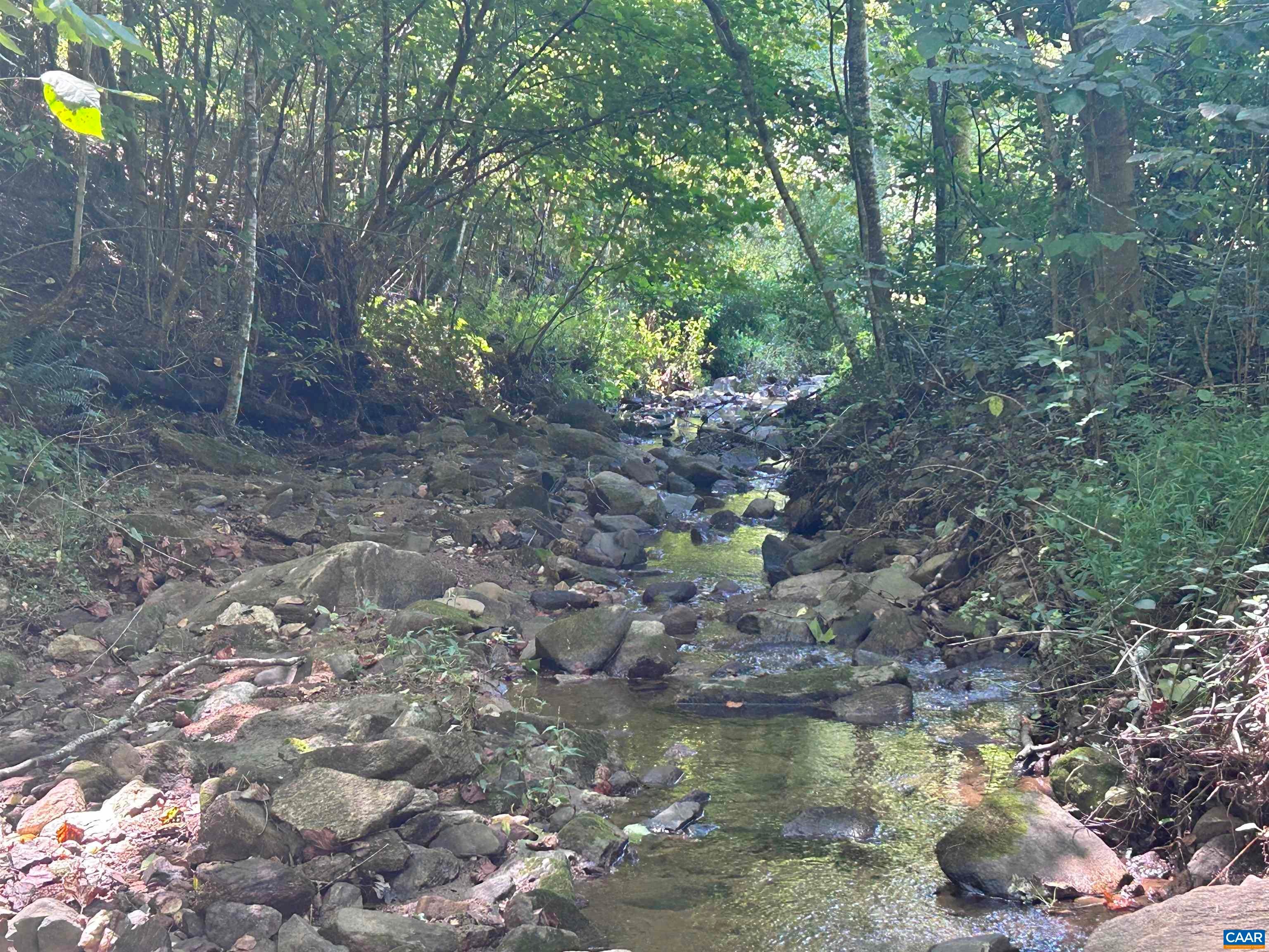 301 Dulaney Mountain Road Madison, VA 22719 - Photo 26 of 28 Gallery Image 26