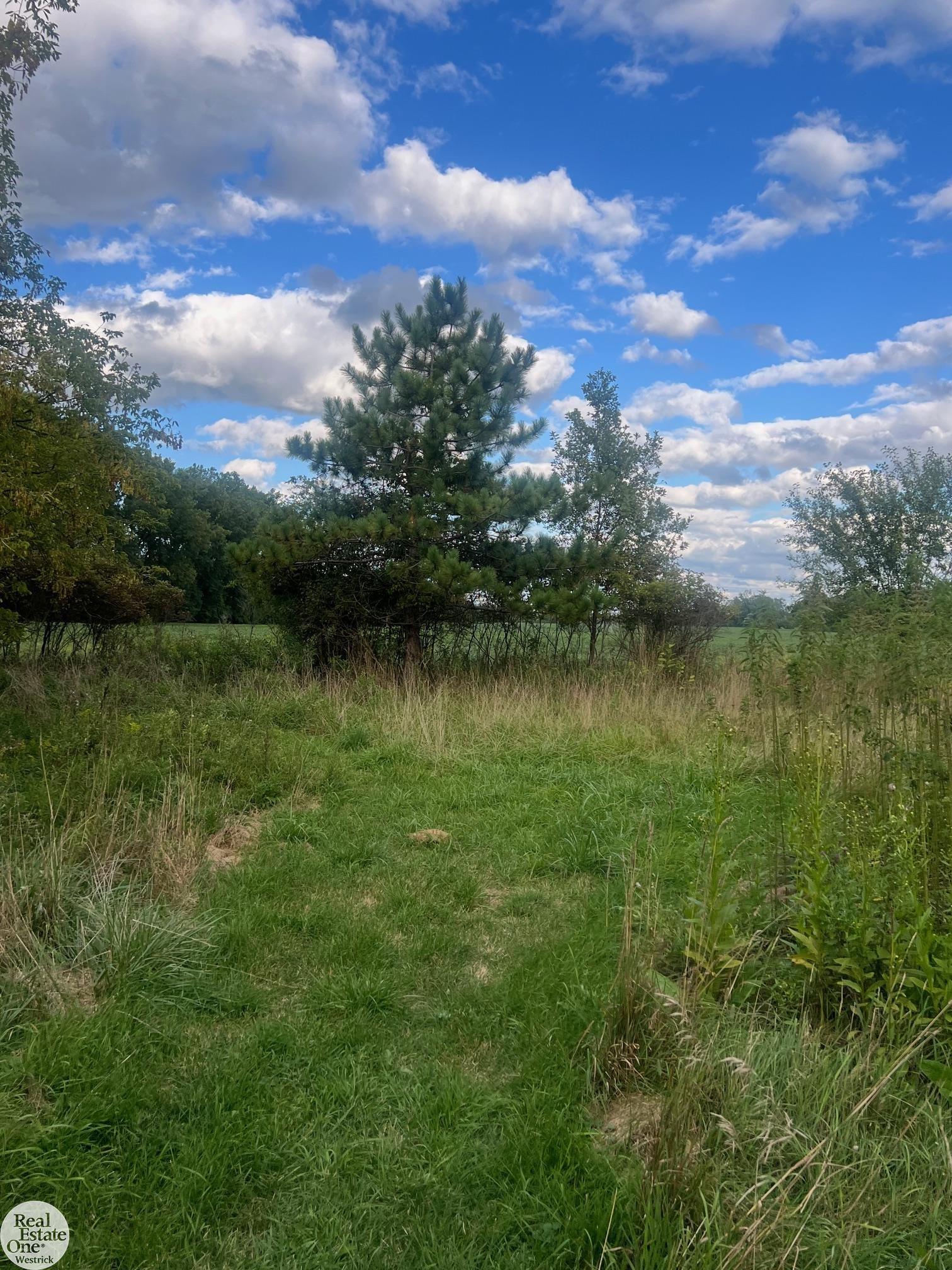 1471 South Allen Road St. Clair, MI 48079 - Photo 75 of 84 50191393-f9383fde-cee2-4d59-a1ce-8ae3ddadb4e4.JPG