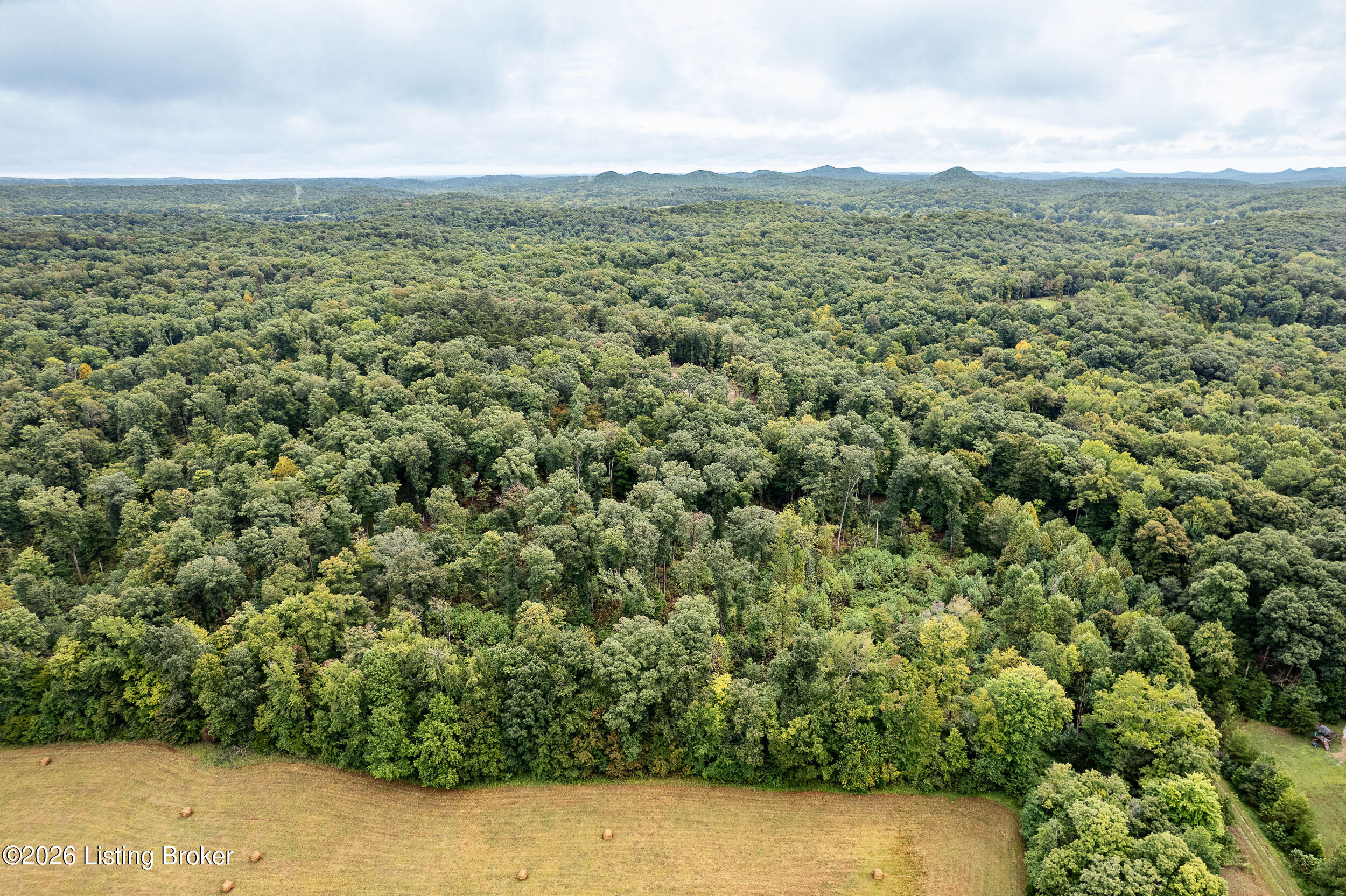 550 Wilson Creek Road Boston, KY 40107 - Photo 10 of 15 550WilsonCreekRd-2