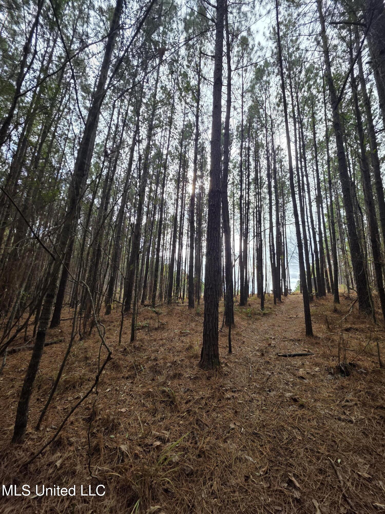 3774 Highway 550 Hazlehurst, MS 39083 - Photo 22 of 44 23091