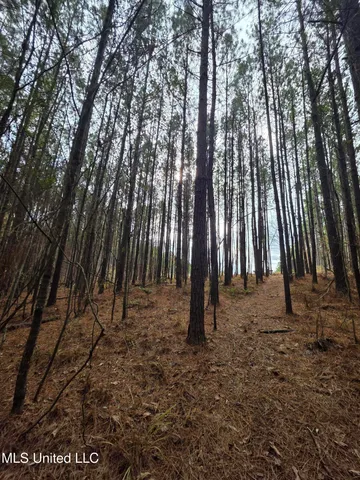 $159,900 | 3774 Highway 550, Hazlehurst, MS 39083