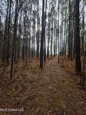 $159,900 | 3774 Highway 550, Hazlehurst, MS 39083