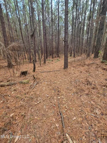 $159,900 | 3774 Highway 550, Hazlehurst, MS 39083