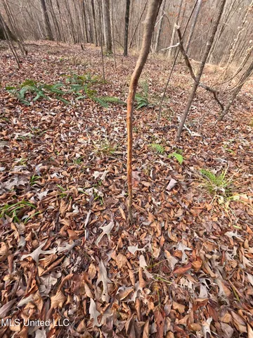 $159,900 | 3774 Highway 550, Hazlehurst, MS 39083