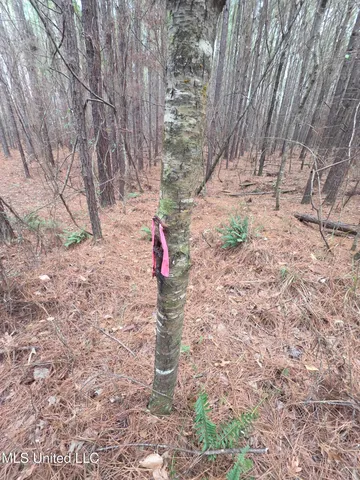 $159,900 | 3774 Highway 550, Hazlehurst, MS 39083