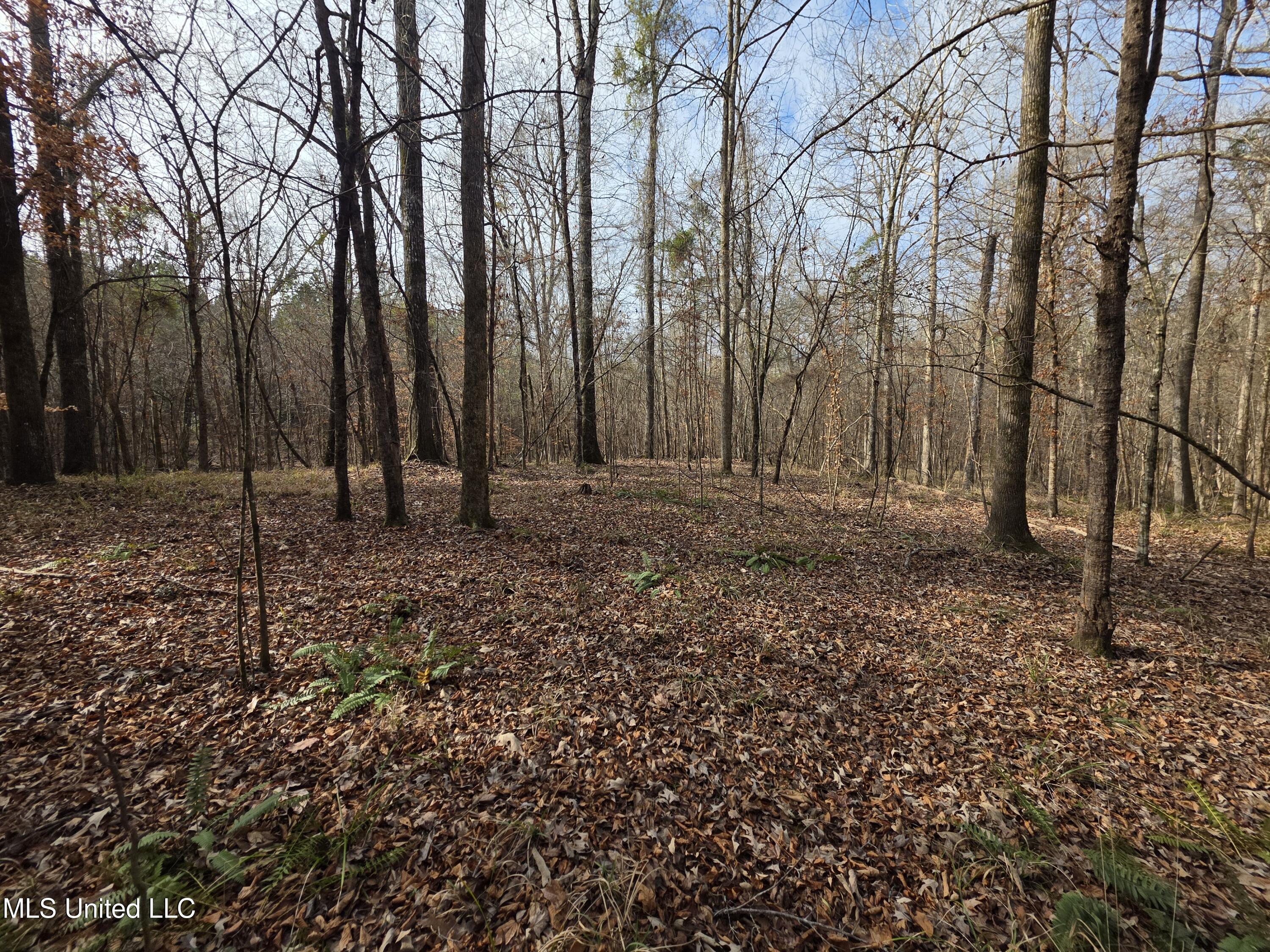 3774 Highway 550 Hazlehurst, MS 39083 - Photo 28 of 44 23082