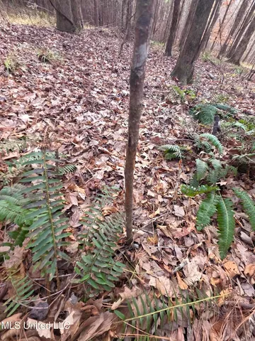 $159,900 | 3774 Highway 550, Hazlehurst, MS 39083