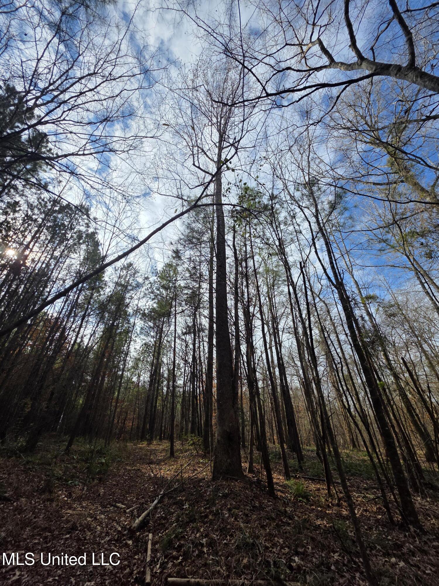 3774 Highway 550 Hazlehurst, MS 39083 - Photo 31 of 44 23078