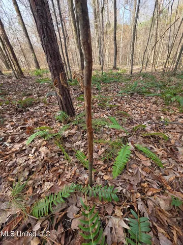 $159,900 | 3774 Highway 550, Hazlehurst, MS 39083