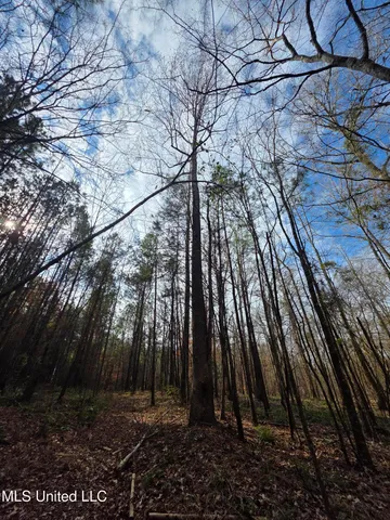 $159,900 | 3774 Highway 550, Hazlehurst, MS 39083