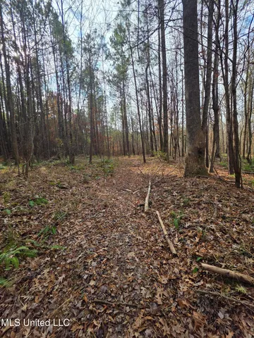 $159,900 | 3774 Highway 550, Hazlehurst, MS 39083