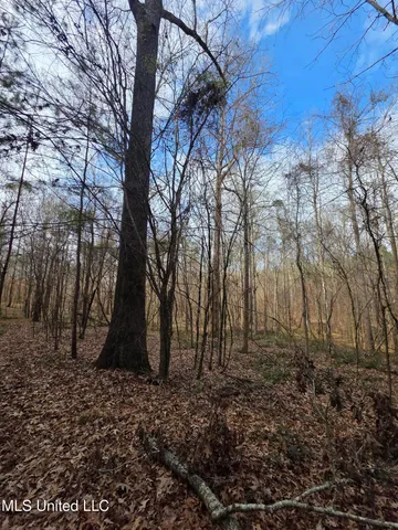 $159,900 | 3774 Highway 550, Hazlehurst, MS 39083