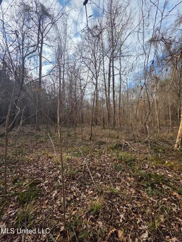 $159,900 | 3774 Highway 550, Hazlehurst, MS 39083