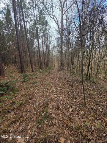 $159,900 | 3774 Highway 550, Hazlehurst, MS 39083