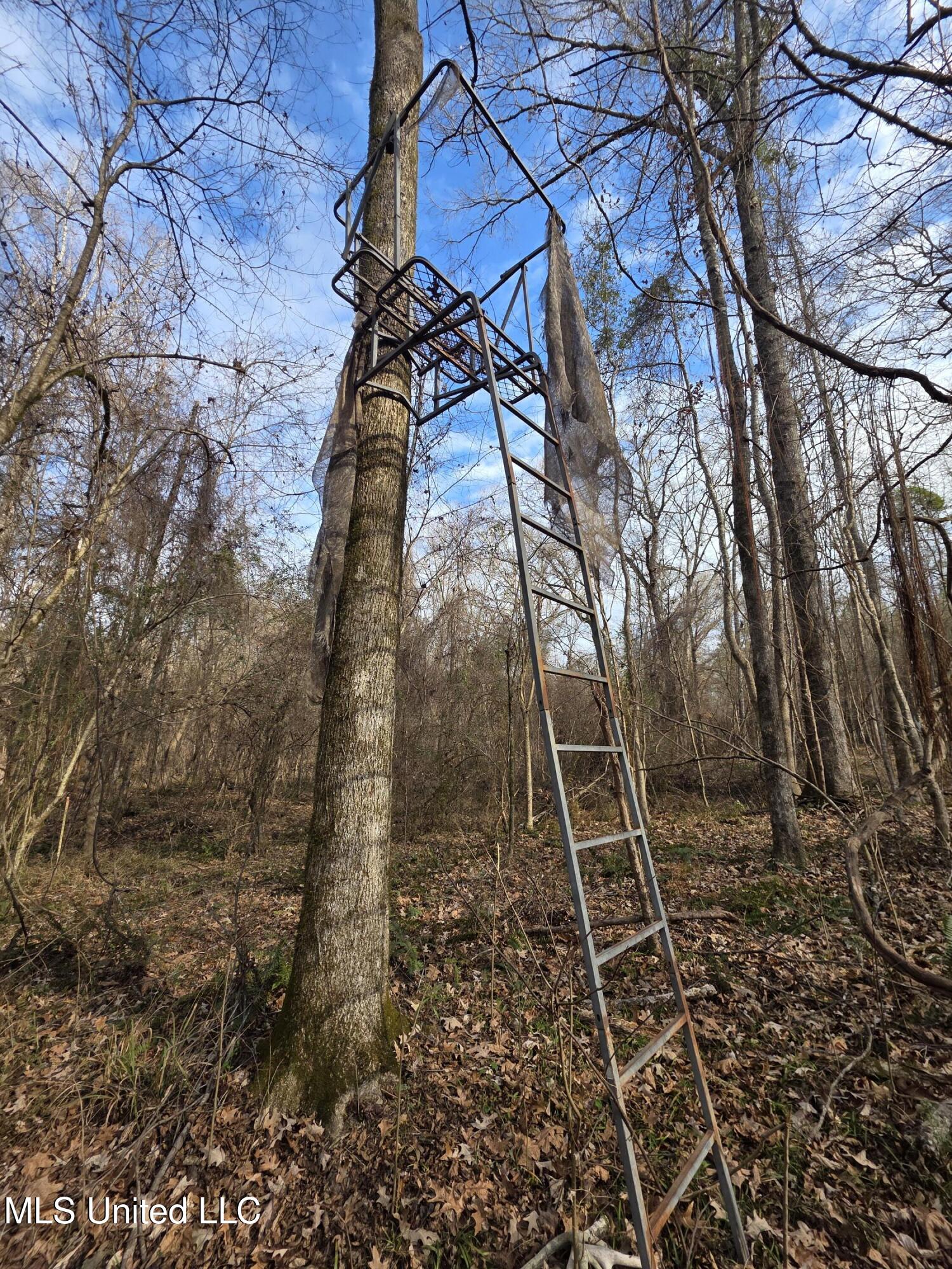 3774 Highway 550 Hazlehurst, MS 39083 - Photo 37 of 44 23060