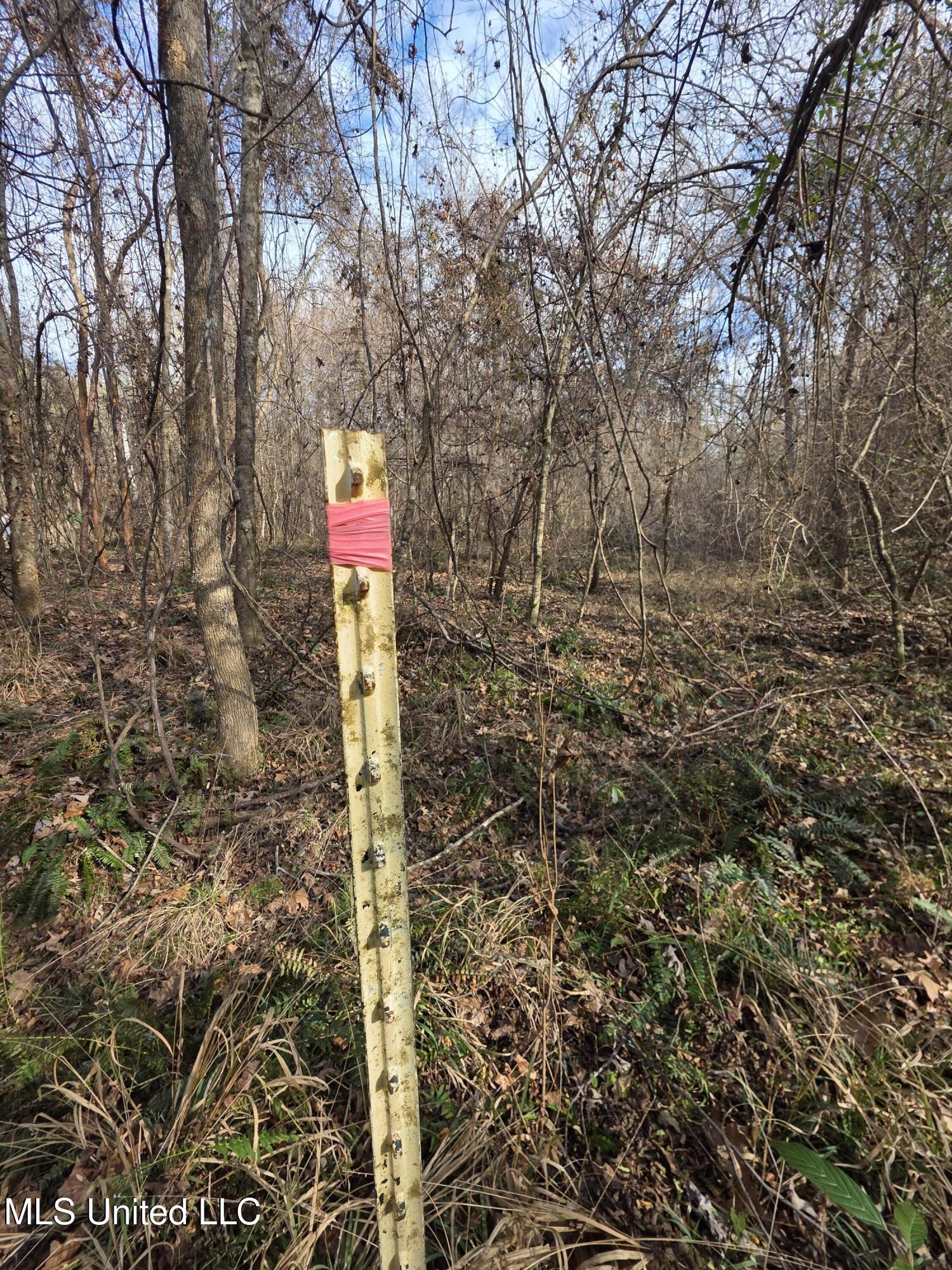 3774 Highway 550 Hazlehurst, MS 39083 - Photo 39 of 44 23050