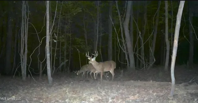 $159,900 | 3774 Highway 550, Hazlehurst, MS 39083