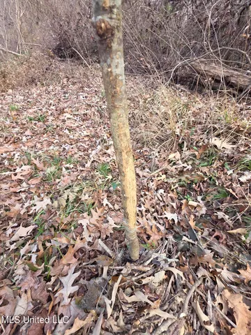 $159,900 | 3774 Highway 550, Hazlehurst, MS 39083