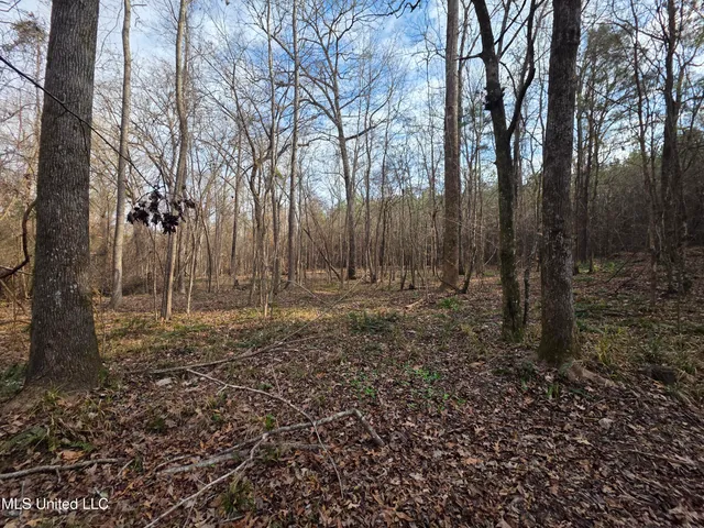 $159,900 | 3774 Highway 550, Hazlehurst, MS 39083