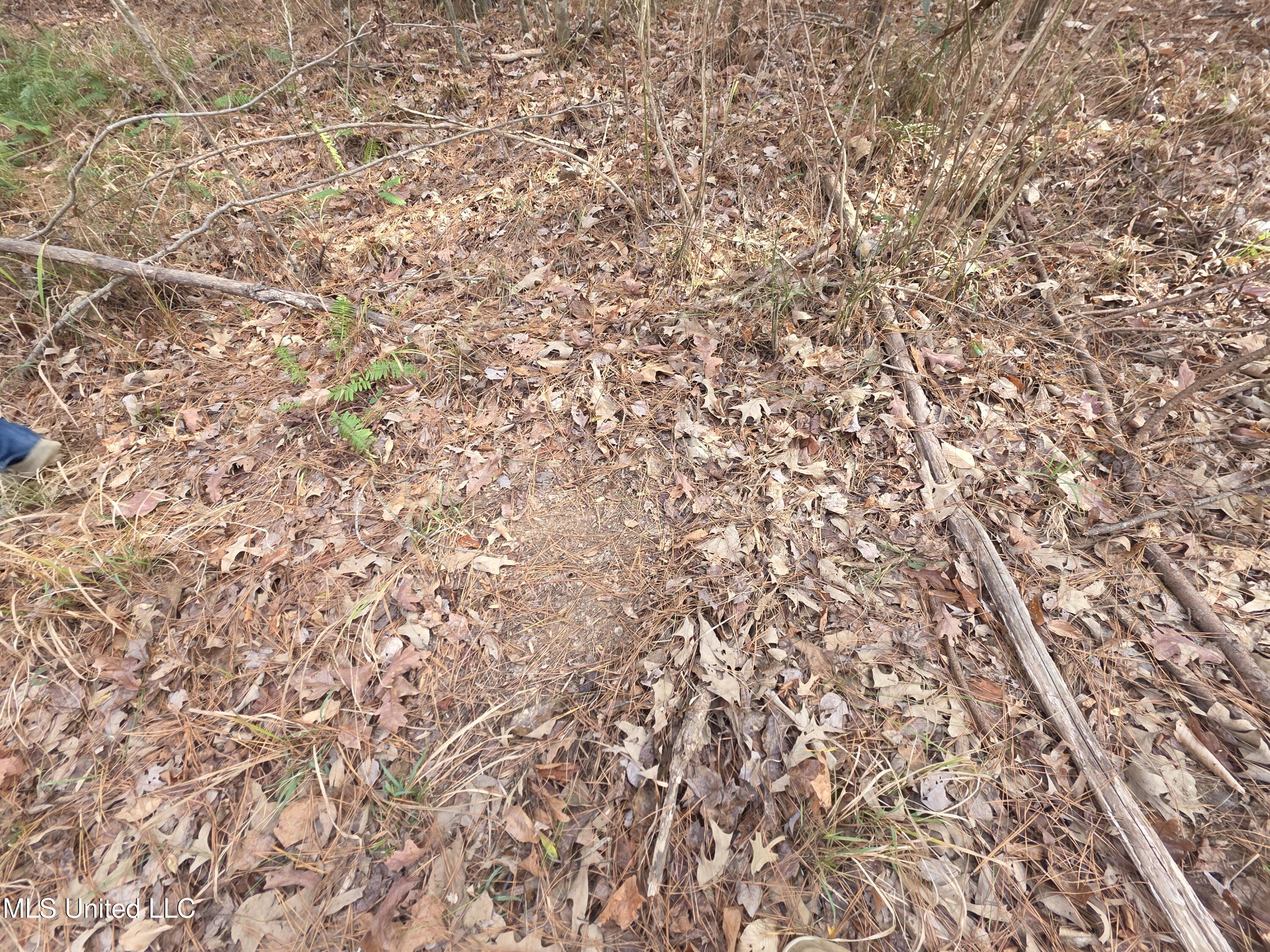 3774 Highway 550 Hazlehurst, MS 39083 - Photo 42 of 44 23039