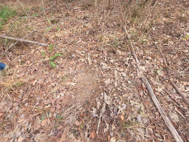 $169,900 | 3774 Highway 550, Hazlehurst, MS 39083