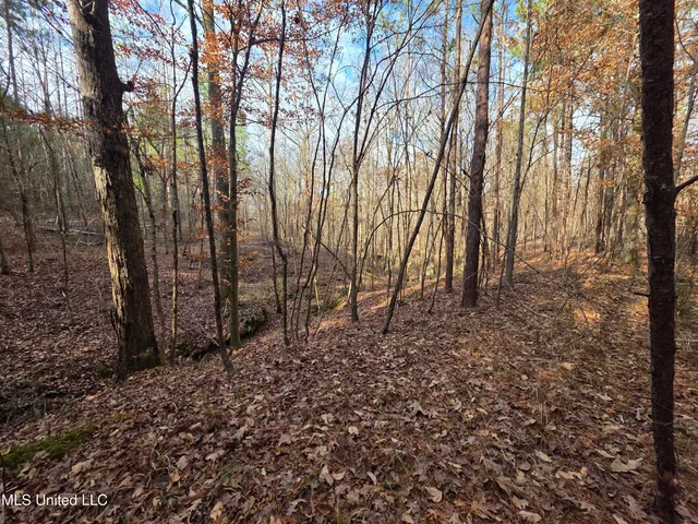 $159,900 | 3774 Highway 550, Hazlehurst, MS 39083