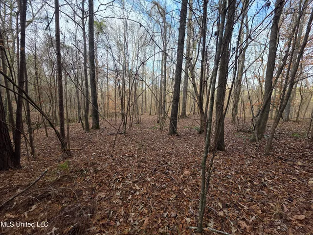 $159,900 | 3774 Highway 550, Hazlehurst, MS 39083