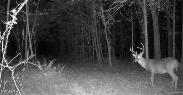 $159,900 | 3774 Highway 550, Hazlehurst, MS 39083