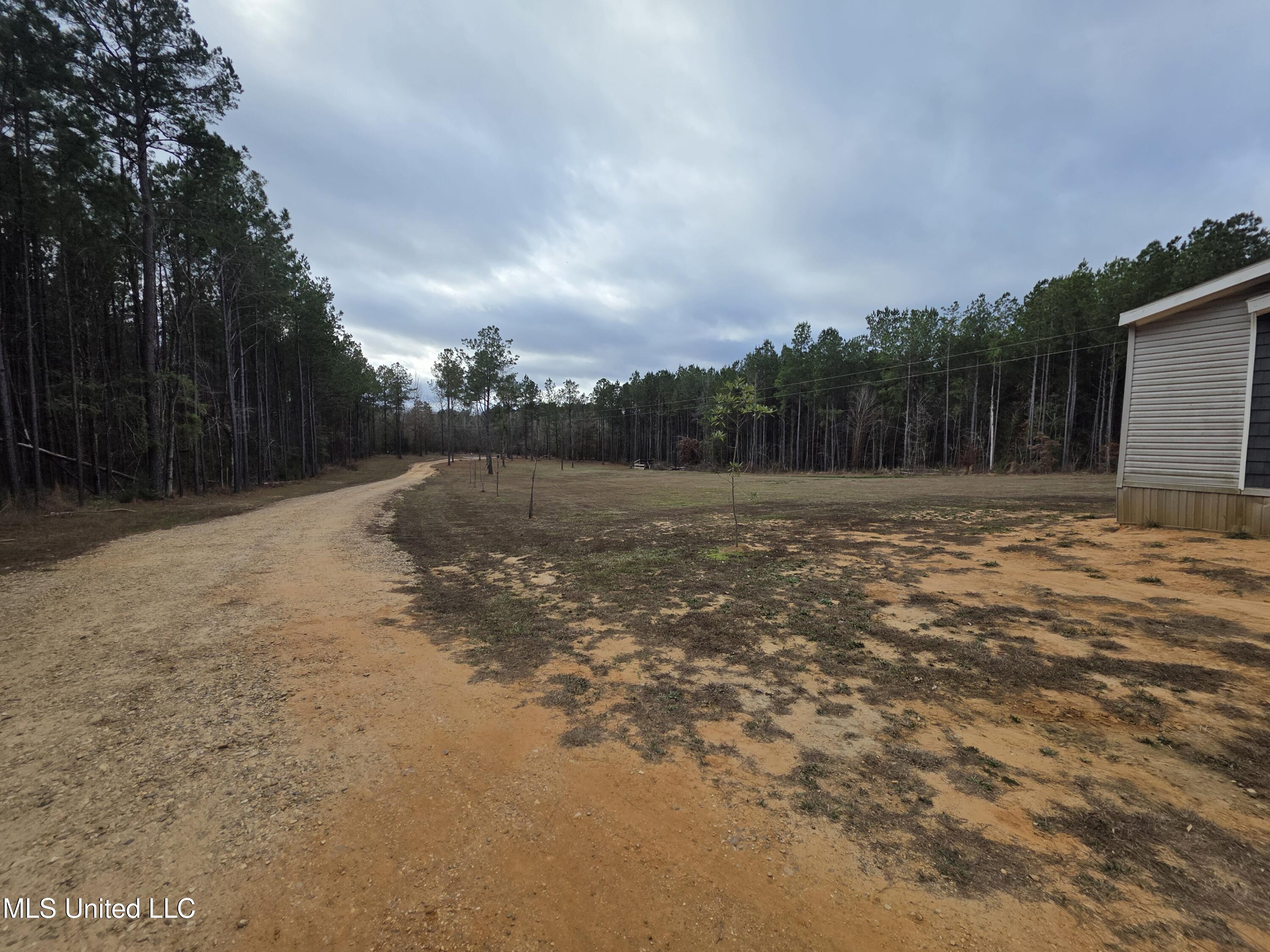 3774 Highway 550 Hazlehurst, MS 39083 - Photo 6 of 44 23099