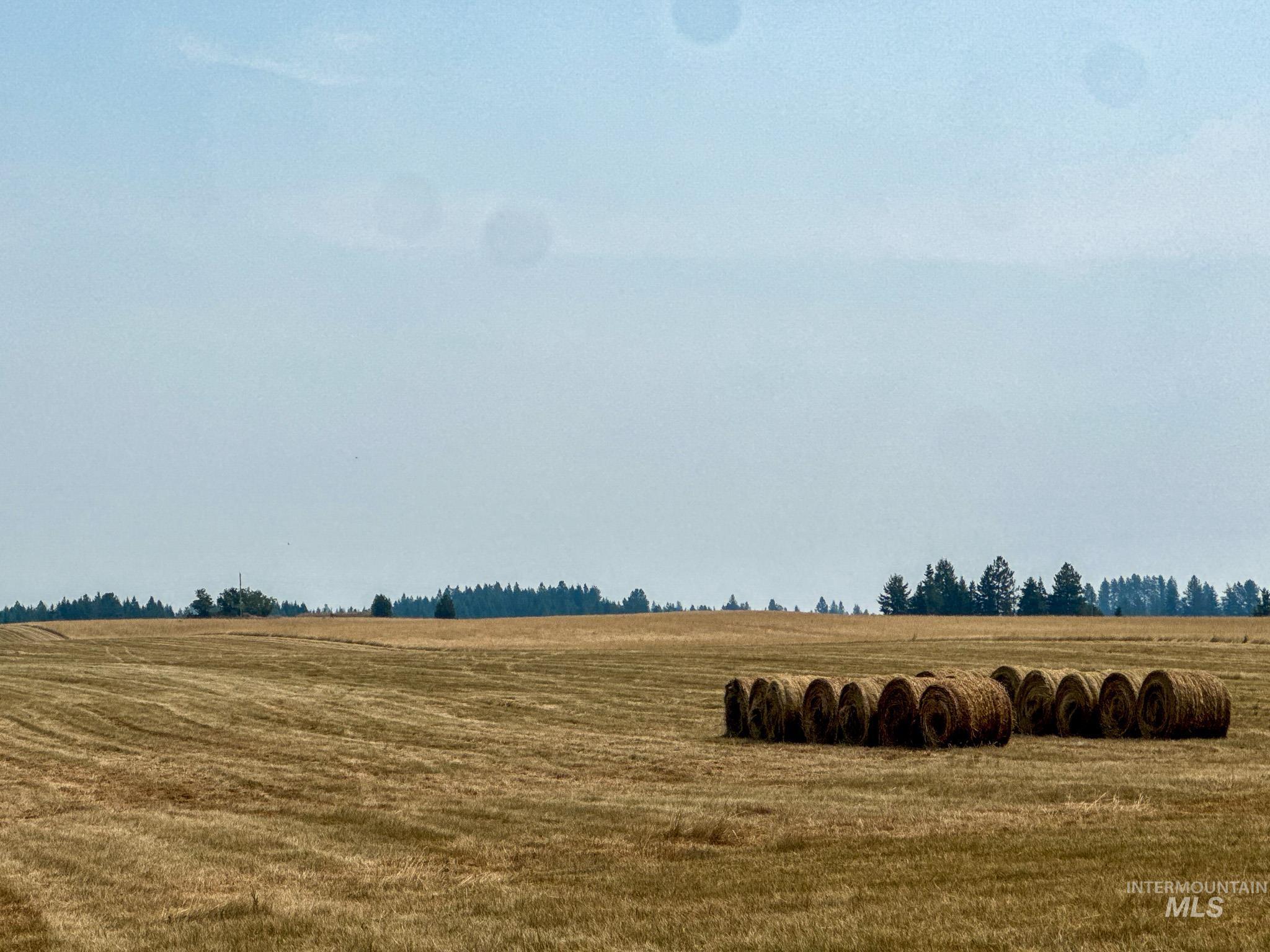 Three Three Mile Road Weippe, ID 83553 - Photo 6 of 8