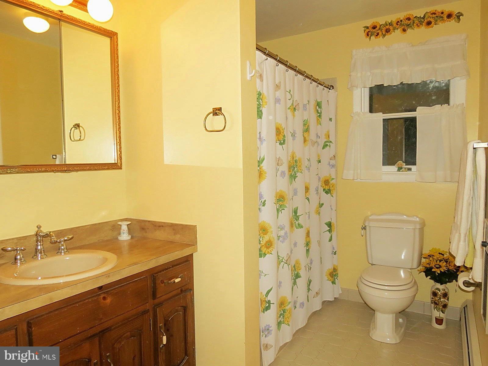 14040 Liberty Road Union Bridge, MD 21791 - Photo 13 of 30 a bathroom with a sink and a toilet