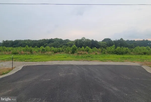 a view of a road with a yard