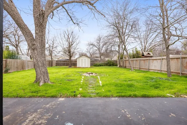 a view of a backyard with plants and large tree