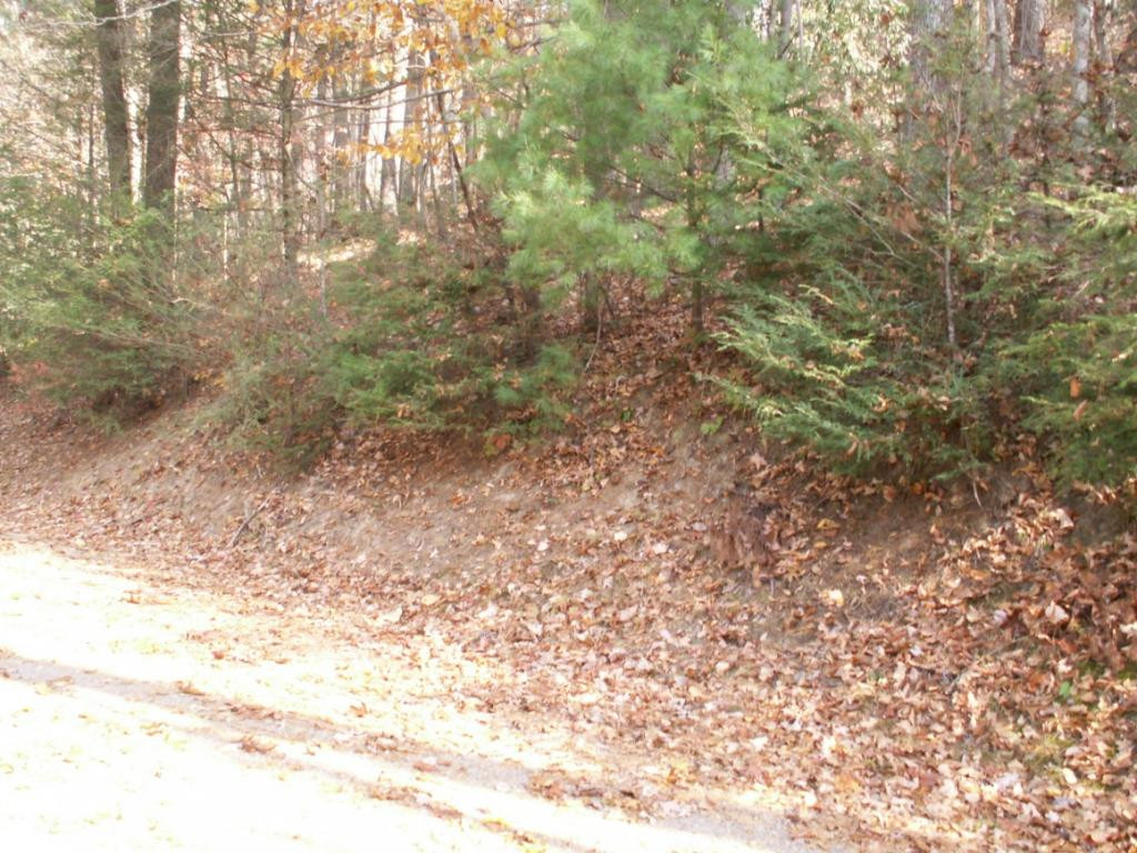 1981 Sink Valley Road Butler, TN 37640 - Photo 3 of 6 FRONT ACCESS VIEW TWO